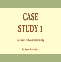 Feasibility Study Revision