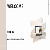 Virtual Assistant Porfolio