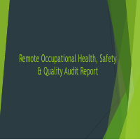 OHS & Q Audit Report 