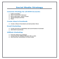 Social Media Strategy for the Facebook