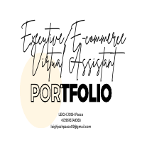 ExecutiveEcommerce VA