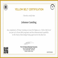 Lean Six Sigma Yellow Belt