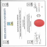 Academic Certificate