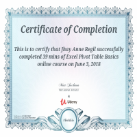 Basic Excel Pivot Completion