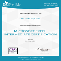 MS Excel Intermediate Certificate