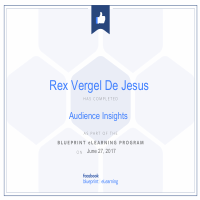 Audience Insight Certification