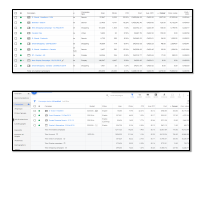 Google Adwords Portfolio