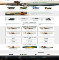 Travel Wesite
