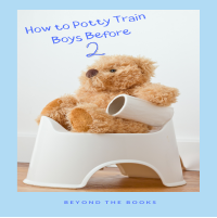 eBook Cover in Canva