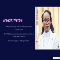 Annet Overall Portfolio