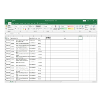 Excel Screen Shot 2