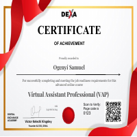 Virtual Assistant Professional 