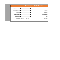 Dual-sheet Excel form: Page 1 Entry, Page 2 Auto-Database.