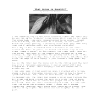 Published in Equine World Mag