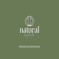 Brand Identity Creation