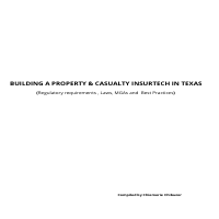 Property &Casualty Insurance Business Analyst 