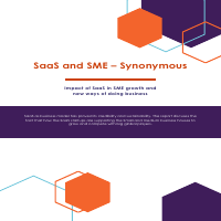 Business Model Analyis SaaS and SME - Synonymous