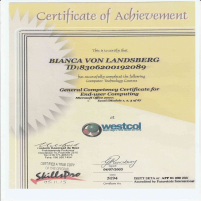 MS xcel Modules 12 &3 Certificate