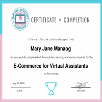 E-commerce Certificate