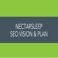 SEO VIsion and Plan