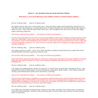 Book Translation