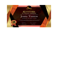 Virtual Training Certificate