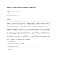 Bank Loans and Guarantee