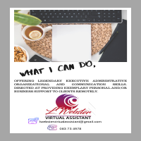 LWebster Virtual Assistant Portfolio