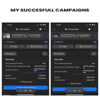 Successful Facebook Ads