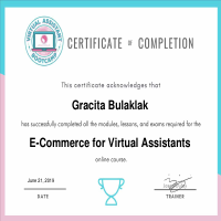 E-Commerce VA Certificate