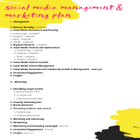 Social Media Management  Marketing Plan
