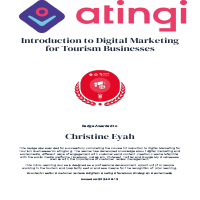 Introduction to Digital Marketing for Tourism Businesses