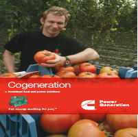 Cogeneration Brochure