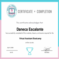 VA Bootcamp Certificate