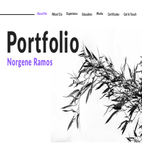 NSR Portfolio 2023