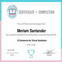 E-commerce Certificate