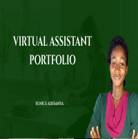 Virtual Assistant Portfolio