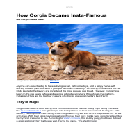 Content Thee-Related Article - Animals