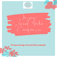 Organic Social Media Campaign