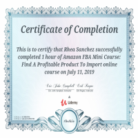 Amazon FBA Mini Course