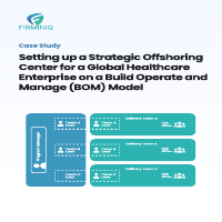 StrategicOffshoring Case Study