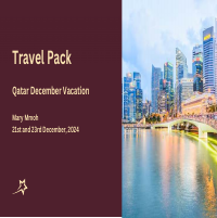 Travel Pack Organization