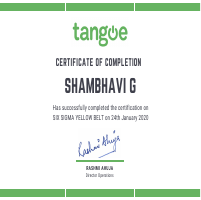 Six Sigma Yellow belt