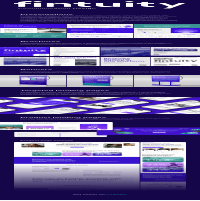 Fintuity Visual Communication Design