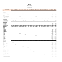 Real Estate Balancesheet