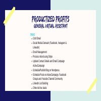 Productized Profits
