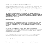 How to Keep Your Lawn Alive in Summer