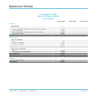 Xero -  Balance sheet
