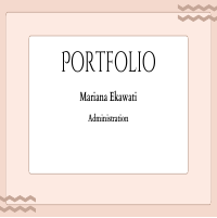 Admin Portfolio - Mariana