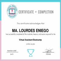 Virtual Assistant ertificate